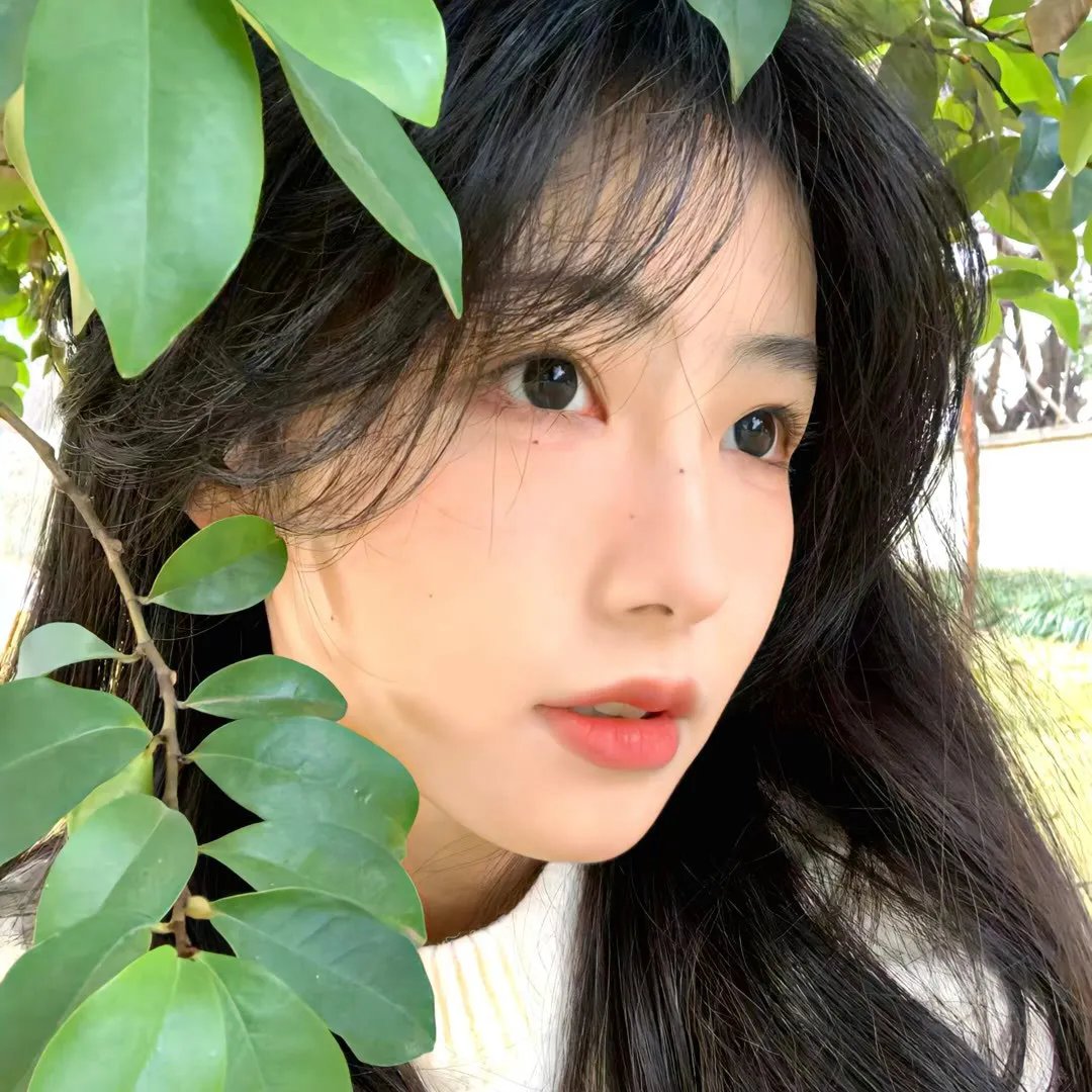 寂静的房子